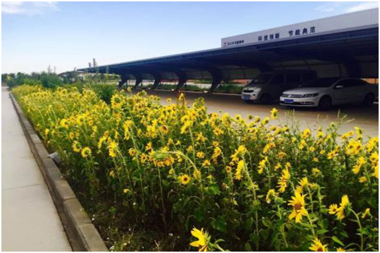 “华体会网页版登录入口精神-戈壁滩走出来的公司” ——新疆天之丰节能板材有限公司